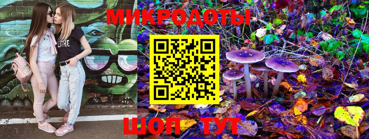 Лесной  Псилоцибиновые грибы Psilocybe  Галлюциногенные грибы прущие грибы  Вход с VPN 